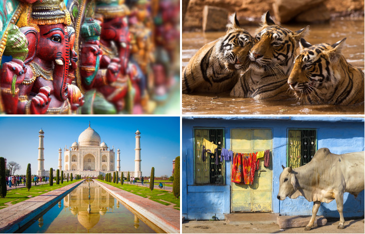 Studielandsguide India